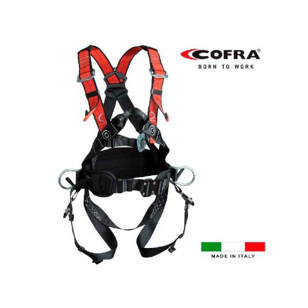 ARNES CINTO SRAGEN FAST COFRA
