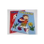 LIVRO COLORIR MODELO SORTIDOS