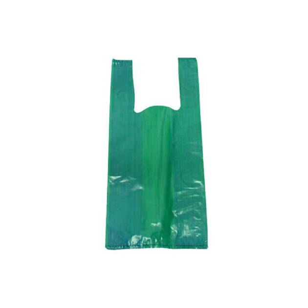 SACO PLASTICO C/ASA