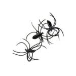 SET DE 50 ARANHAS
